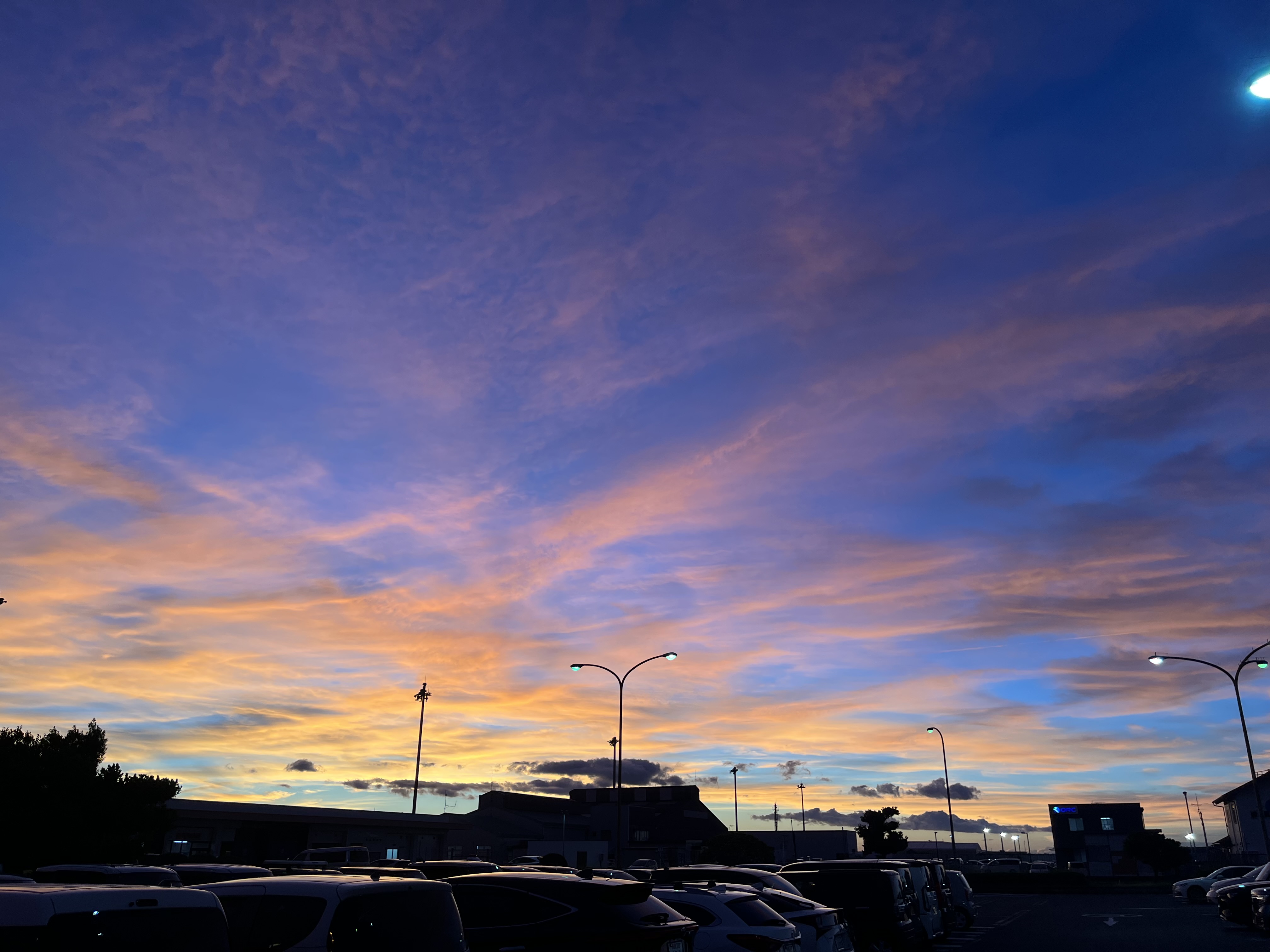 Before（保護前）の画像